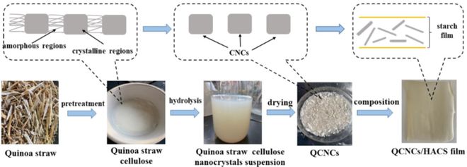 米乐 M6米乐兰州理工大学生命科学与工程学院科研团队在纤维生物材料领域取得新进展(图1)