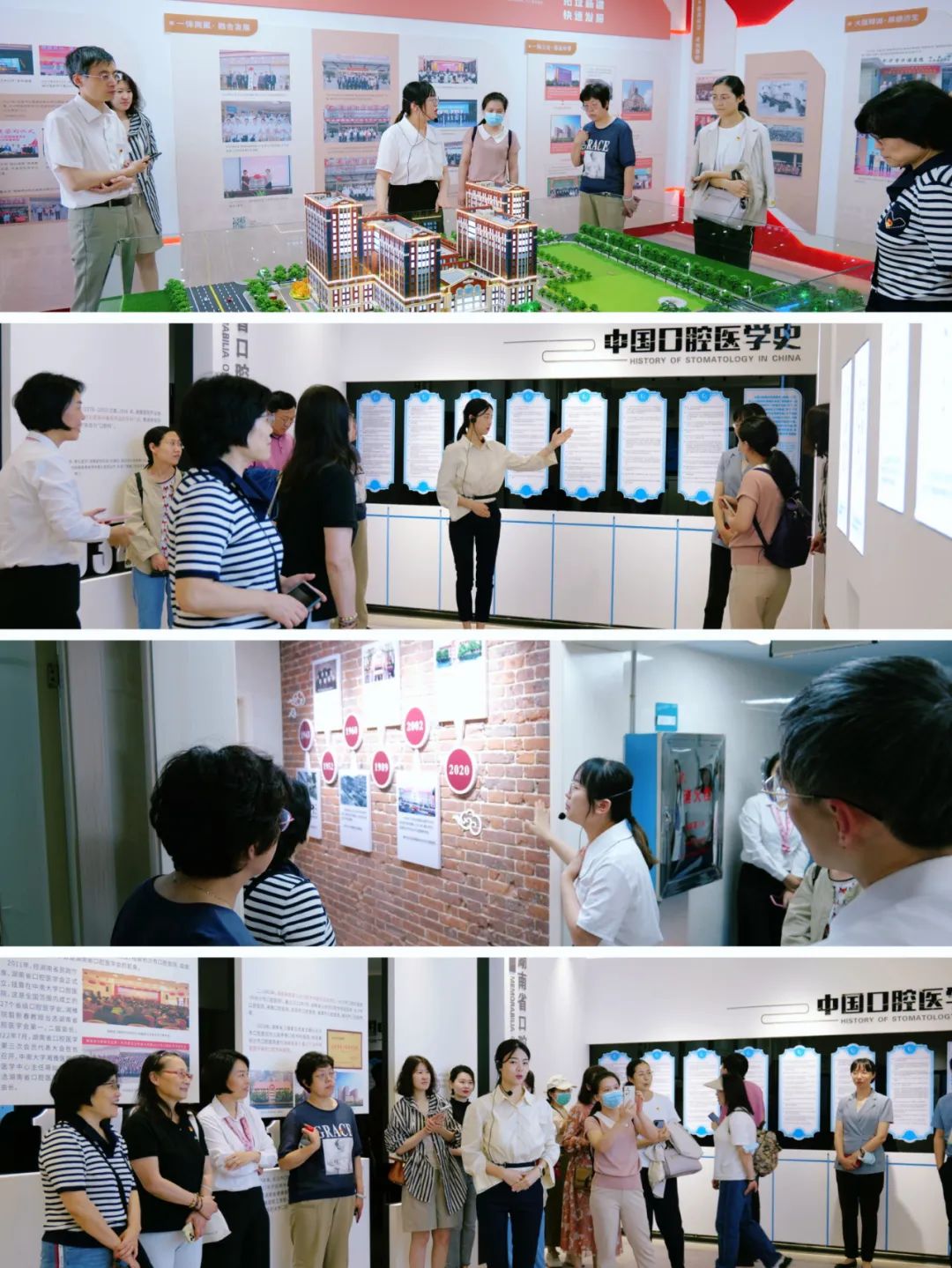 中华口腔医学会牙周病学专米乐 M6米乐业委员会第15次全国牙周病学学术会议在长沙召开(图5)