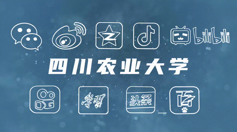 填报川米乐M6 米乐农大的N个理由！(图1)