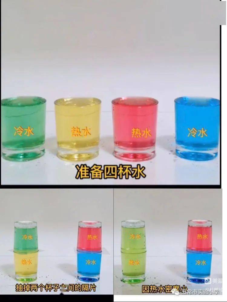 【实小科研】指向深度米乐 M6米乐学习的有效教学策略研究——科学组变式教学促进深度学习策略的研究报道(图6)