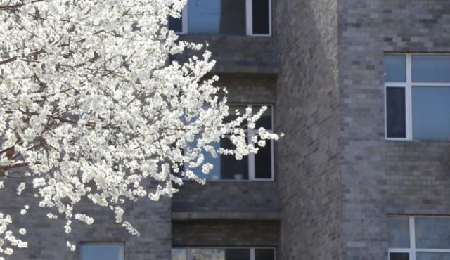 沈阳工学院值得报考吗？分数怎么样米乐 M6米乐？(图4)