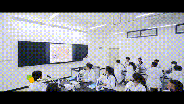 米乐 M6米乐【学在医药“医”路有你】师之明镜校之灯塔(图1)