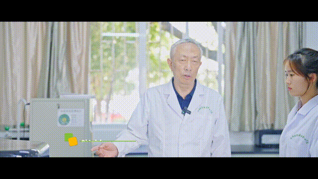 米乐 M6米乐【学在医药“医”路有你】师之明镜校之灯塔(图3)