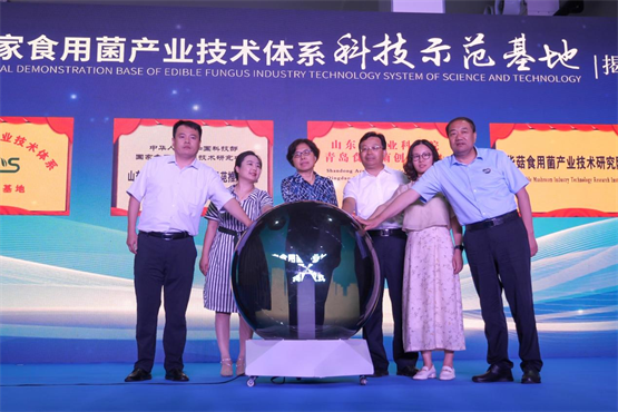 双塔食品控股公司艾泽福吉“国家食用菌产业技术体系科技示范米乐M6 米乐基地”揭牌(图2)