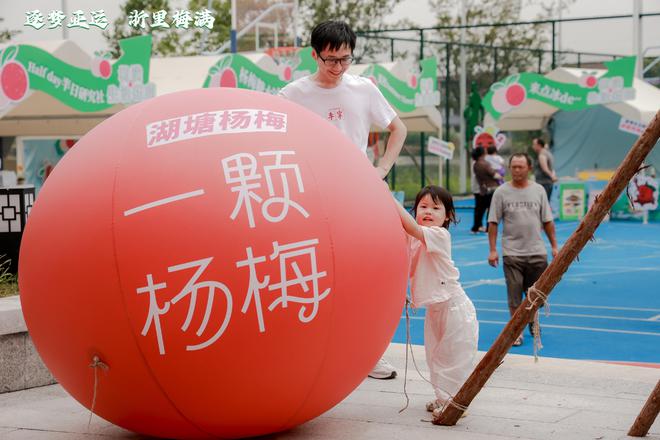米乐M6 米乐“小杨梅”串起共富产业链第五届湖塘杨梅文化旅游节今日开幕！(图10)