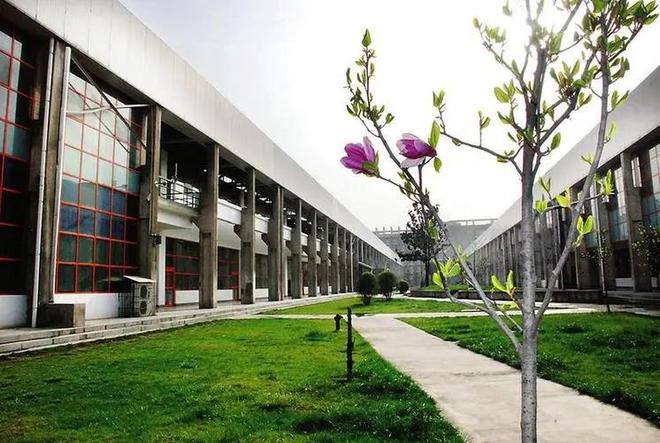 教学质量领先西米乐M6 米乐安建大华清学院引领国际化教育创新(图3)
