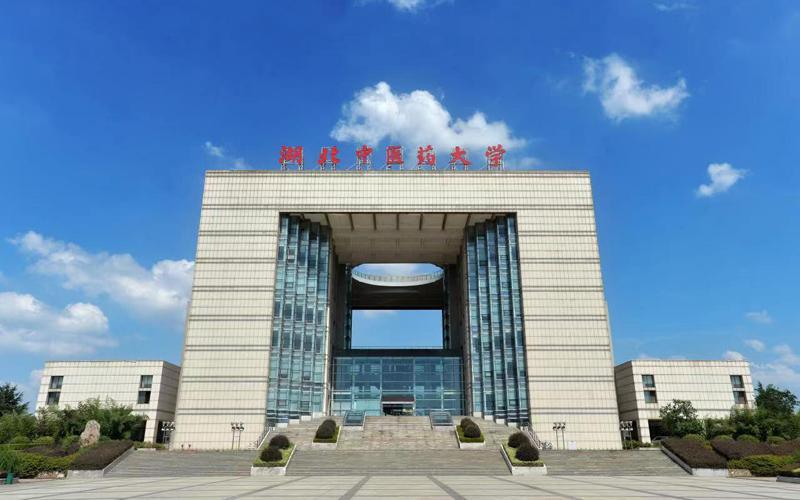 湖北中医药大学：校园云开放细说“木、火、水、金、土”米乐 M6米乐(图1)