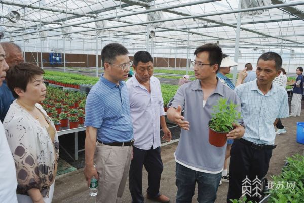 科研专家授课 致富能手现场教学……南京市规米乐M6 米乐模经营高素质农民培训班来啦(图4)