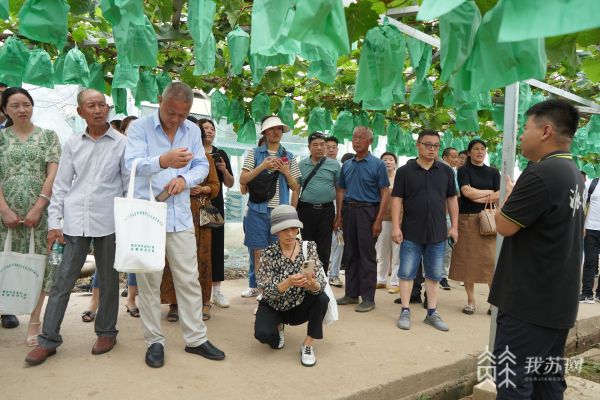 科研专家授课 致富能手现场教学……南京市规米乐M6 米乐模经营高素质农民培训班来啦(图3)