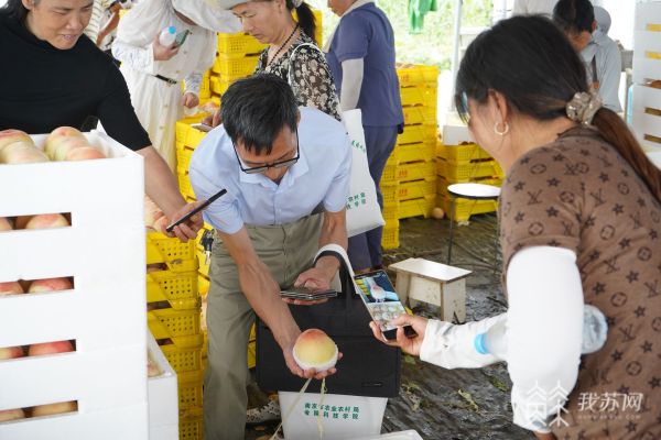 科研专家授课 致富能手现场教学……南京市规米乐M6 米乐模经营高素质农民培训班来啦(图5)