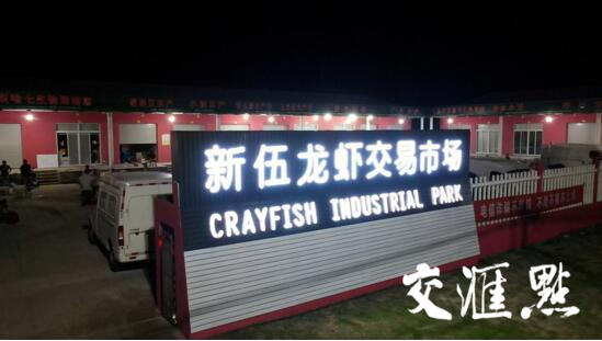 “苏”式高质量发展“新三十六计”·共生计｜“虾兵蟹将”济济一“塘”传统养殖业如何进行科技创新？米乐M6 米乐(图3)