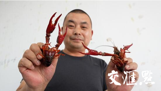 “苏”式高质量发展“新三十六计”·共生计｜“虾兵蟹将”济济一“塘”传统养殖业如何进行科技创新？米乐M6 米乐(图8)