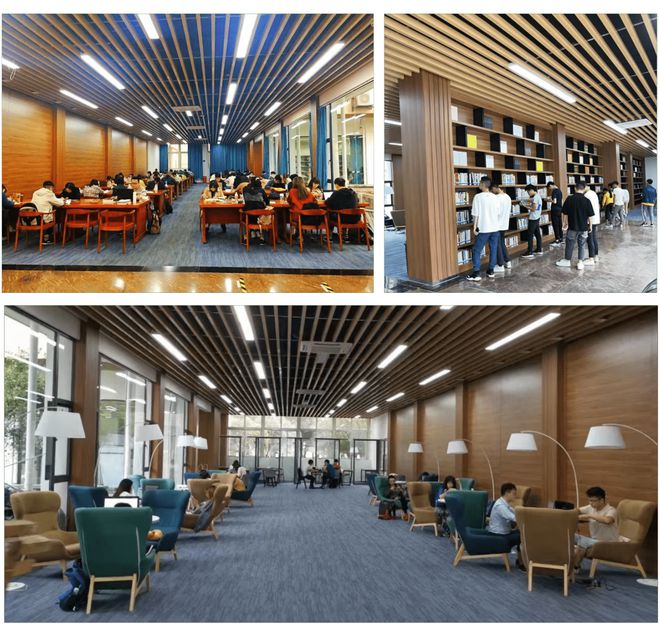 成都国际学校推荐电子科技大学A level直通世界名校米乐M6 米乐(图4)