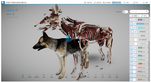 米乐M6 米乐3D数字动物解剖实训系统谱写动物解剖教学新篇章(图2)