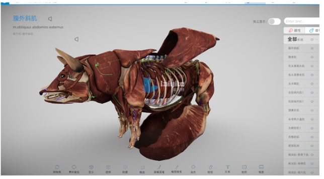 米乐M6 米乐3D数字动物解剖实训系统谱写动物解剖教学新篇章(图3)