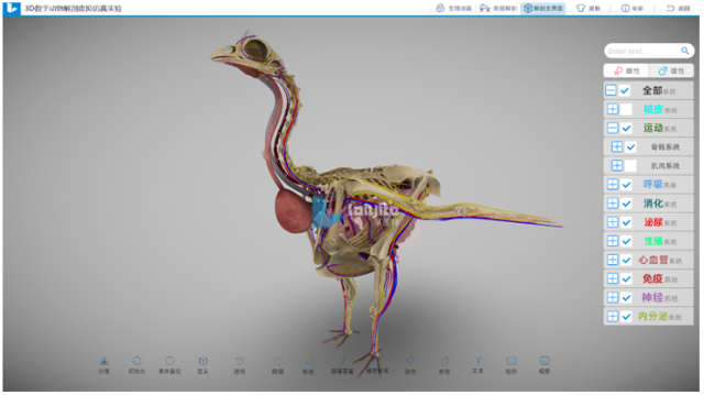 米乐M6 米乐3D数字动物解剖实训系统谱写动物解剖教学新篇章(图4)