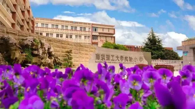 太棒了！南理工实小立项教育部米乐 M6米乐重点课题(图1)