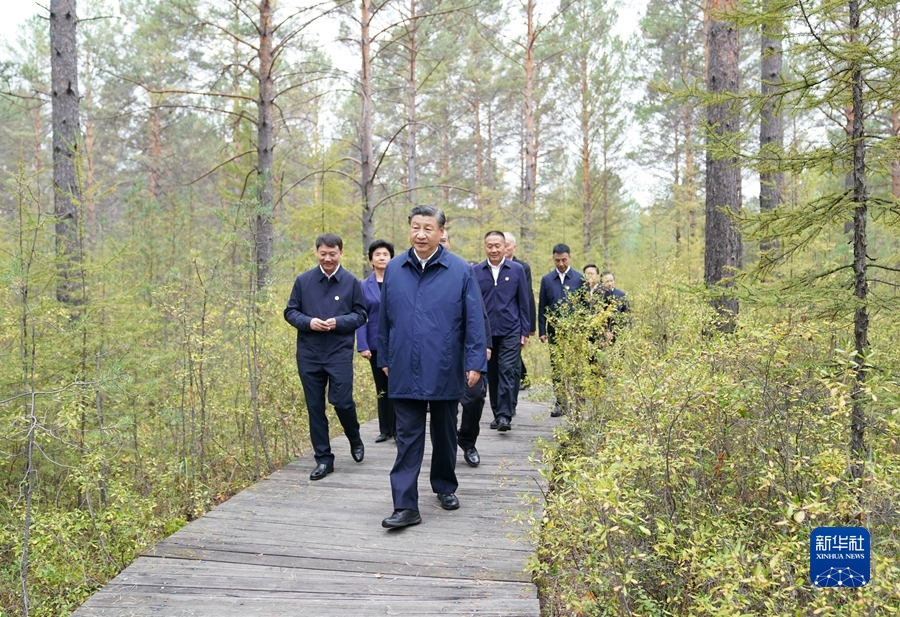 米乐 M6米乐习在黑龙江考察时强调 牢牢把握在国家发展大局中的战略定位 奋力开创黑龙江高质量发展新局面(图2)