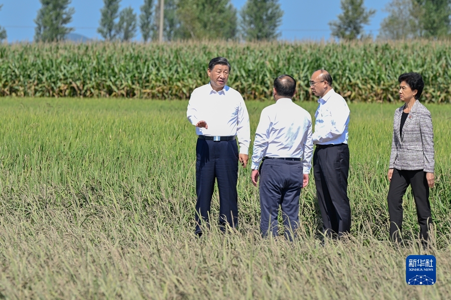 米乐 M6米乐习在黑龙江考察时强调 牢牢把握在国家发展大局中的战略定位 奋力开创黑龙江高质量发展新局面(图10)