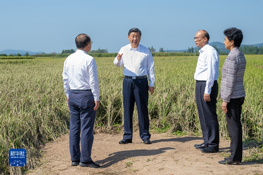 米乐 M6米乐习在黑龙江考察时强调 牢牢把握在国家发展大局中的战略定位 奋力开创黑龙江高质量发展新局面(图11)