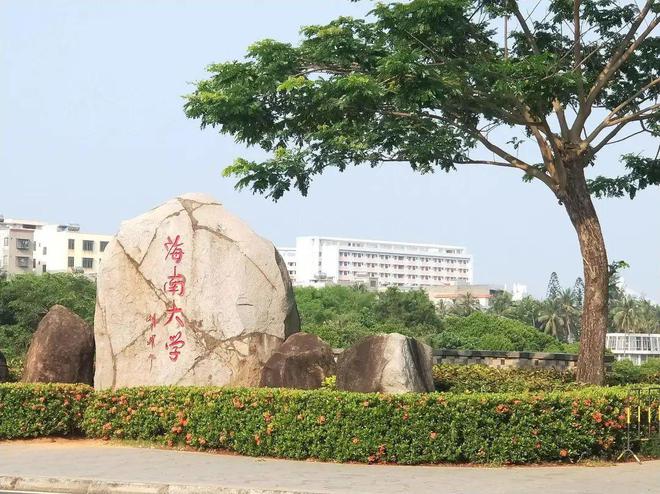 海纳百川 大道致远！211高校百万年薪诚邀海内外英才米乐 M6米乐(图4)