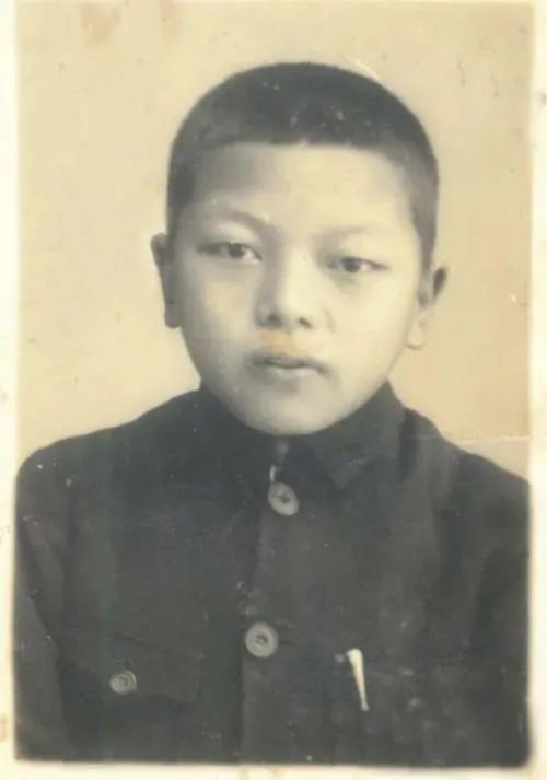 米乐 M6米乐话说杨浦丨谷超豪：坚定的革命者与杰出的科学家(图2)