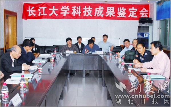 我们的精米乐M6 米乐彩·科研的力量｜以学科为中心 长大推动教学与科研深度融合发展(图2)