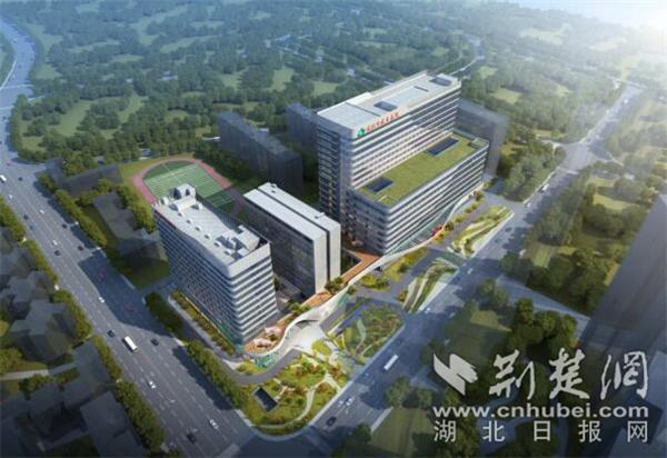 “健康武昌”在加速：规米乐 M6米乐划先行一批卫生健康项目加快推进(图2)