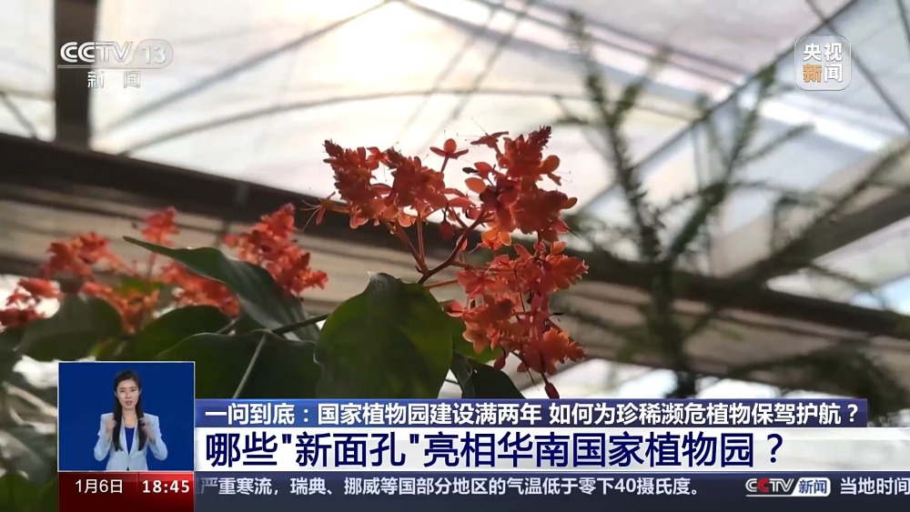 一问到底丨国家植物园批复设立满两年 成绩单来啦！(图4)