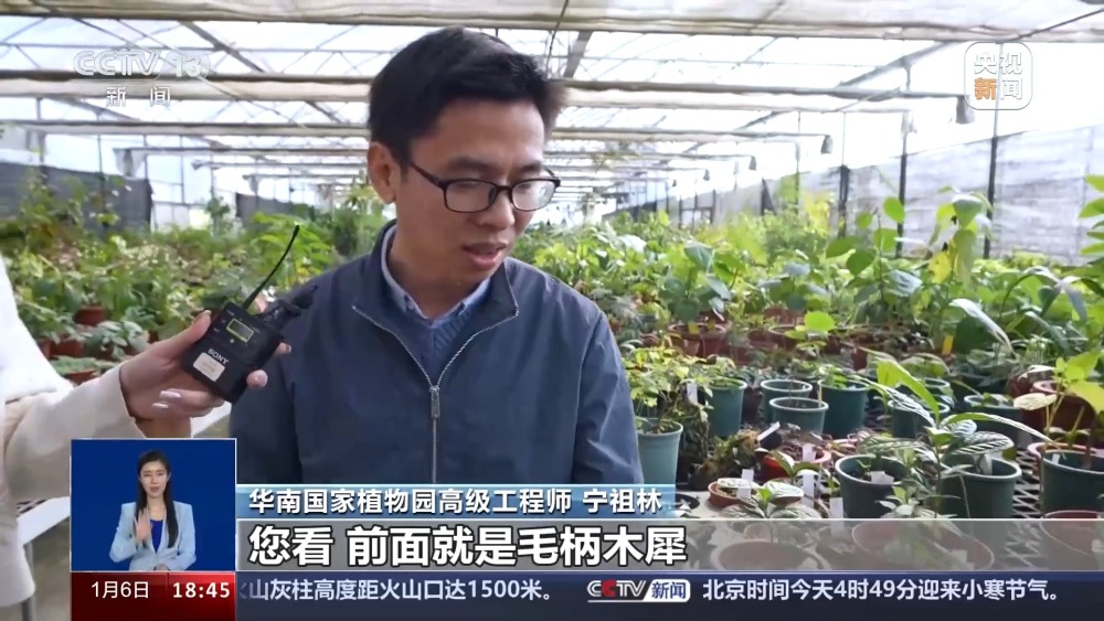 一问到底丨国家植物园批复设立满两年 成绩单来啦！(图5)