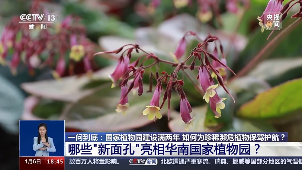 一问到底丨国家植物园批复设立满两年 成绩单来啦！(图3)