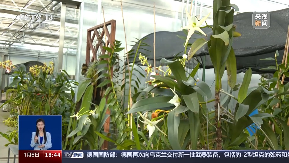 一问到底丨国家植物园批复设立满两年 成绩单来啦！(图1)