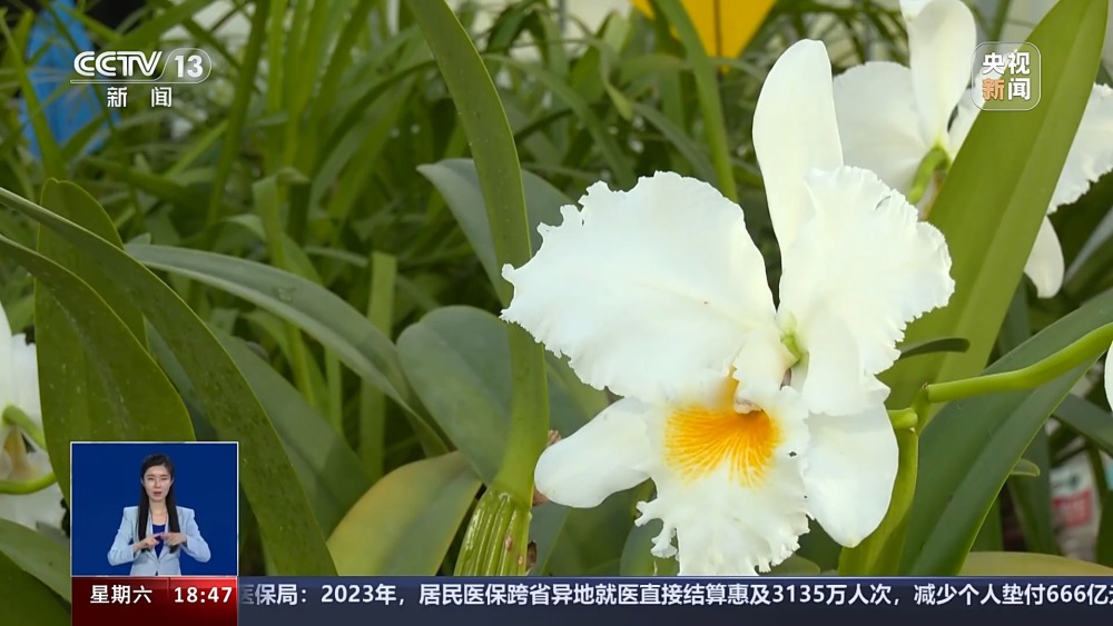 一问到底丨国家植物园批复设立满两年 成绩单来啦！(图9)