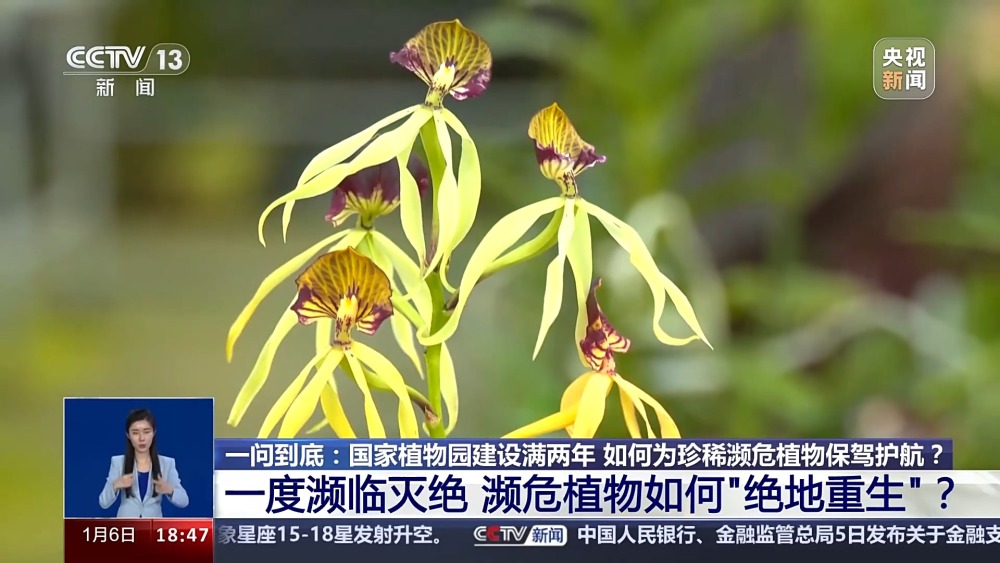 一问到底丨国家植物园批复设立满两年 成绩单来啦！(图7)