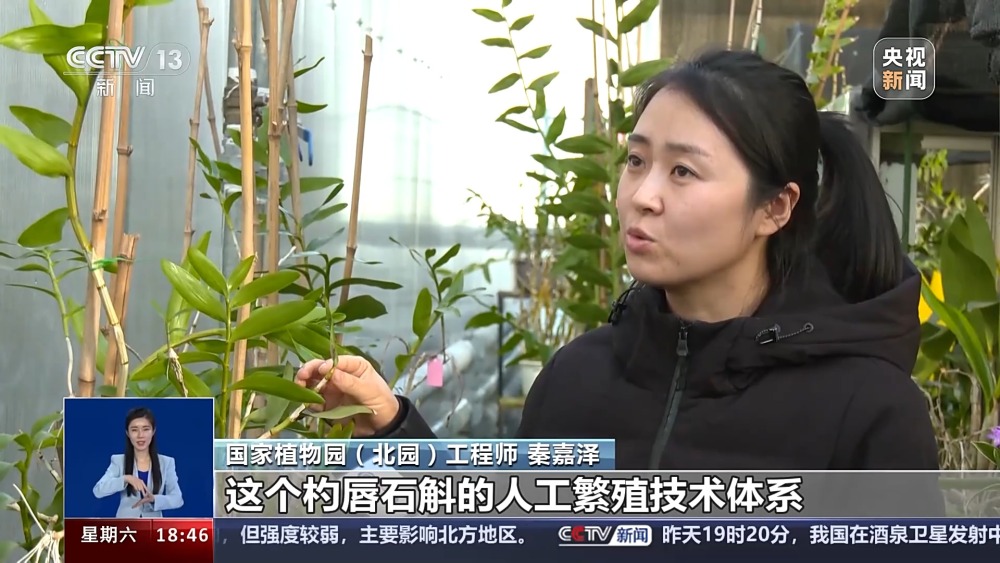 一问到底丨国家植物园批复设立满两年 成绩单来啦！(图6)