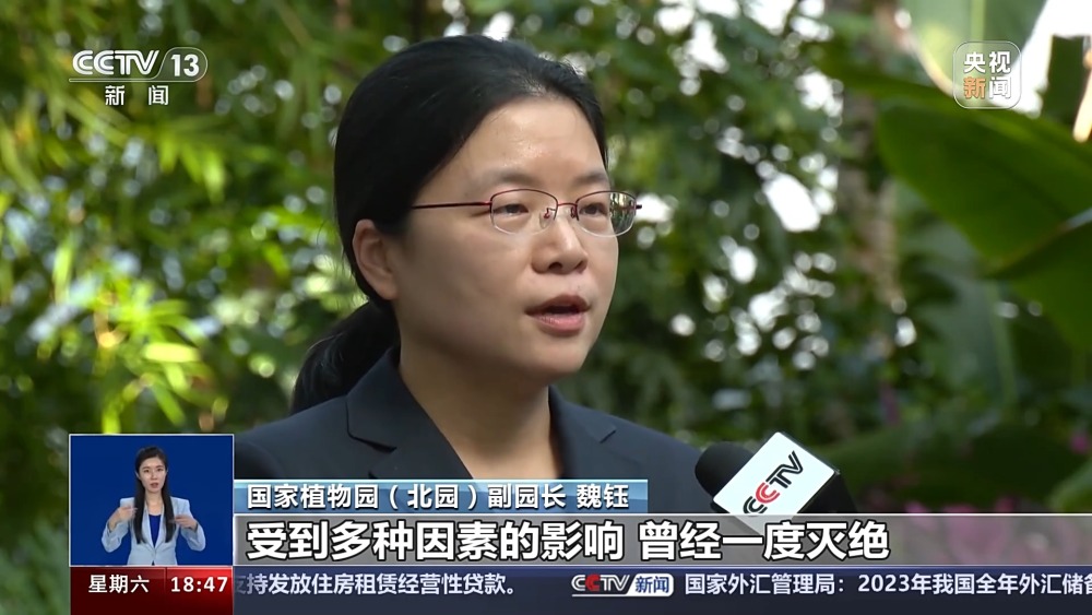 一问到底丨国家植物园批复设立满两年 成绩单来啦！(图8)