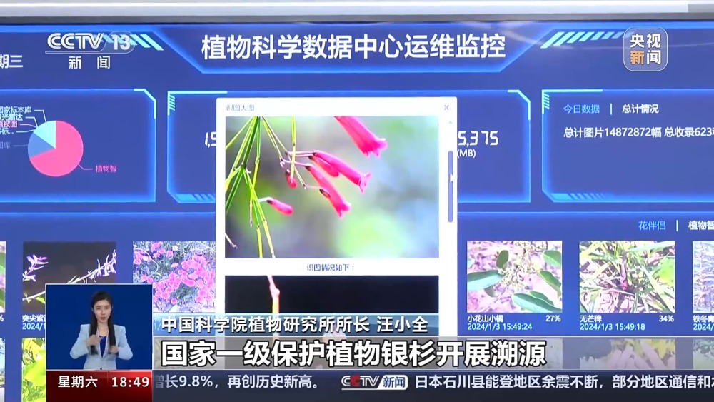 一问到底丨国家植物园批复设立满两年 成绩单来啦！(图13)