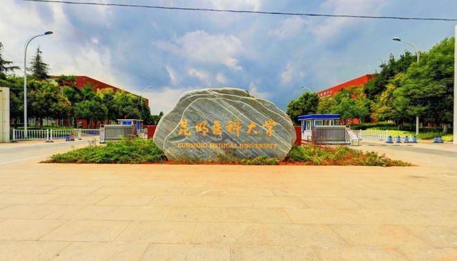 7所医科大学地区实力一流学术实力也不错省内就业竞争力较强(图1)