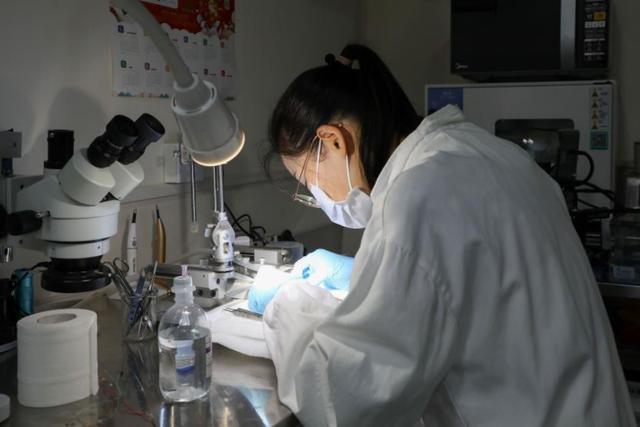 凌晨3点给导师干活一博士生吐槽：可怕对自身的科研毫无意义(图2)