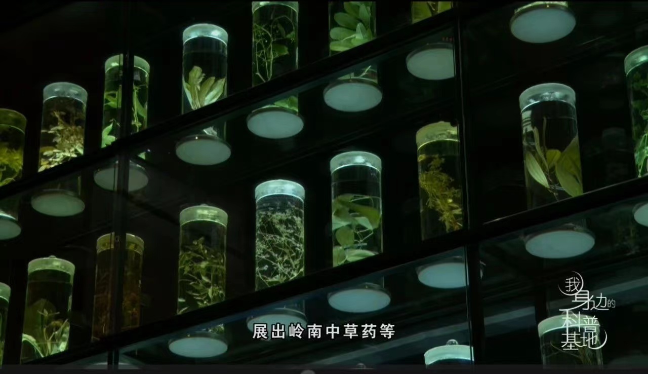 寒假已至中大增加预约参观时段！广东各大高校开放情况如何？(图4)