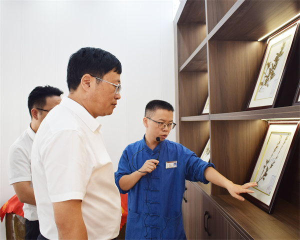 医宗经典是根本 独领风骚在创新——松桃苗医药发展侧记(图5)