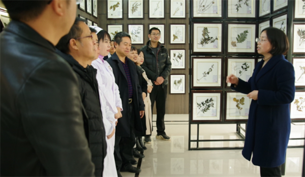 医宗经典是根本 独领风骚在创新——松桃苗医药发展侧记(图12)