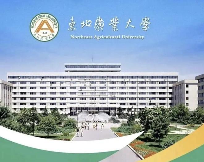 哈尔滨6所高校征集人才“上大分”！100万起安家费准备好了！(图5)