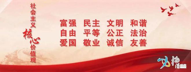深耕实验教学他们做学生探索自然世界的引路人(图9)