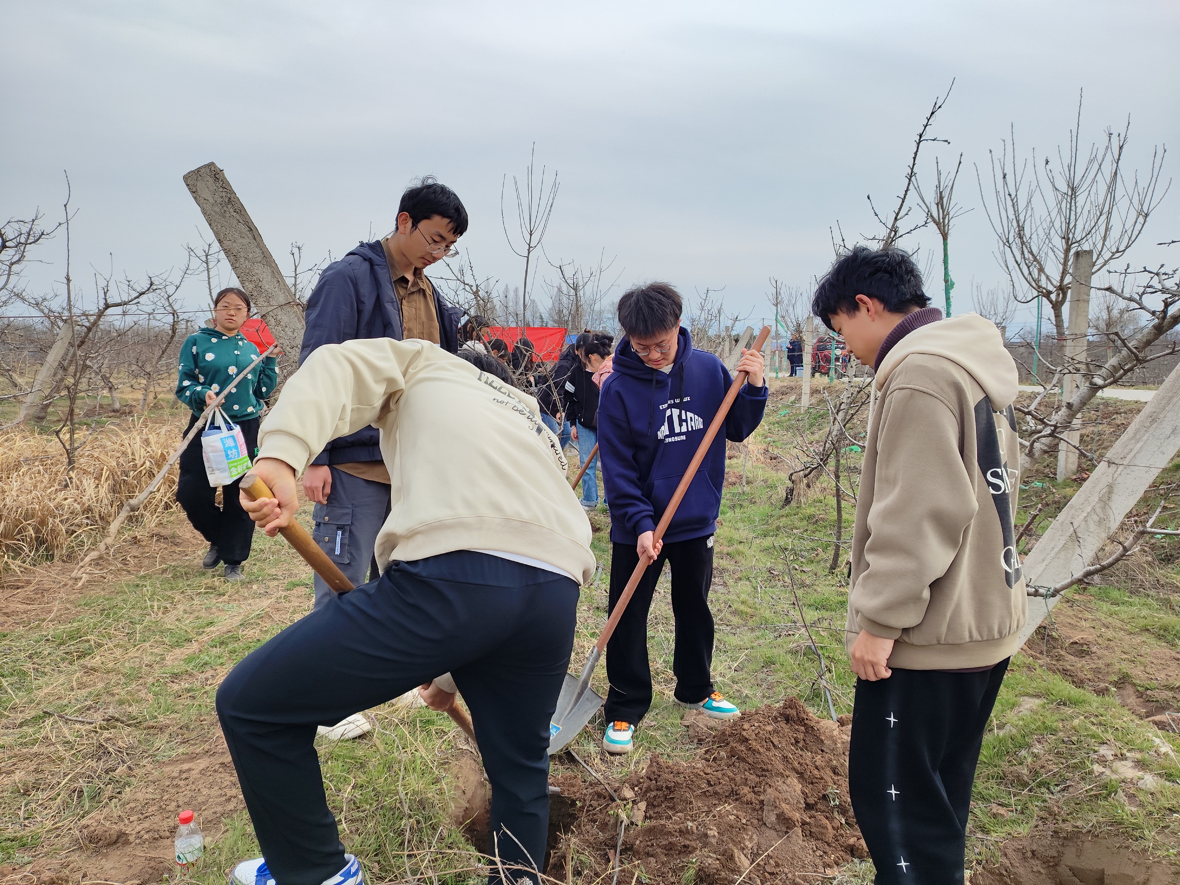 西农园艺学院：种下科研树 厚植爱农情(图4)