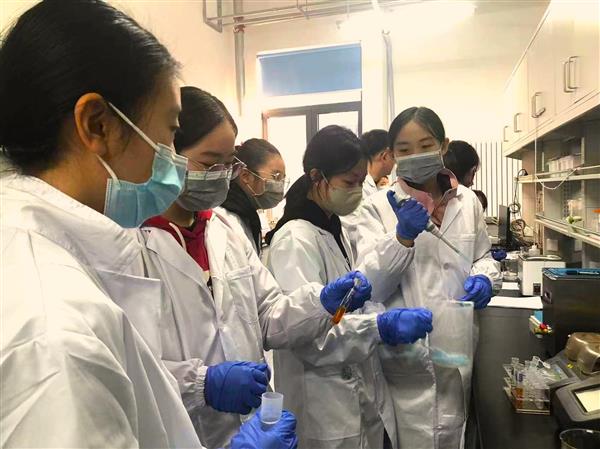 探索科技 塑造未来：三星STEM GIRLS培养女性科研新秀(图2)