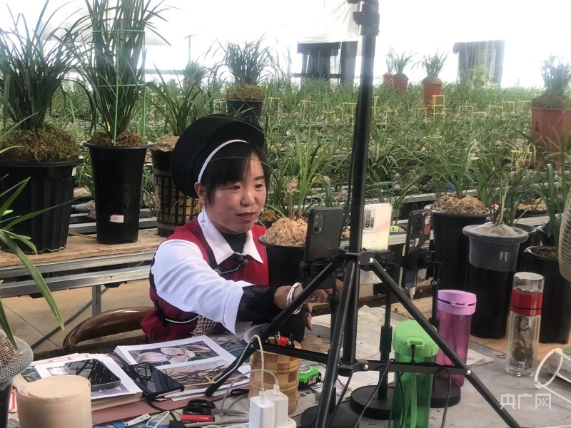 云南鹤庆：乡村振兴与民族团结进步同频共振 各族群众共享美好生活(图2)