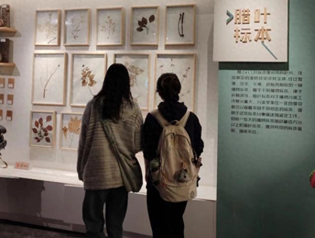 西北大学新闻传播学院马克思主义新闻观实践教学走进秦岭国家植物园(图1)
