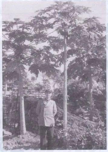 “中国苔藓学之父”陈邦杰视苔藓为掌中明珠(图2)