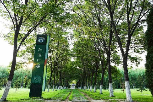 北方民族大学教学探究及综合实力分析(图2)